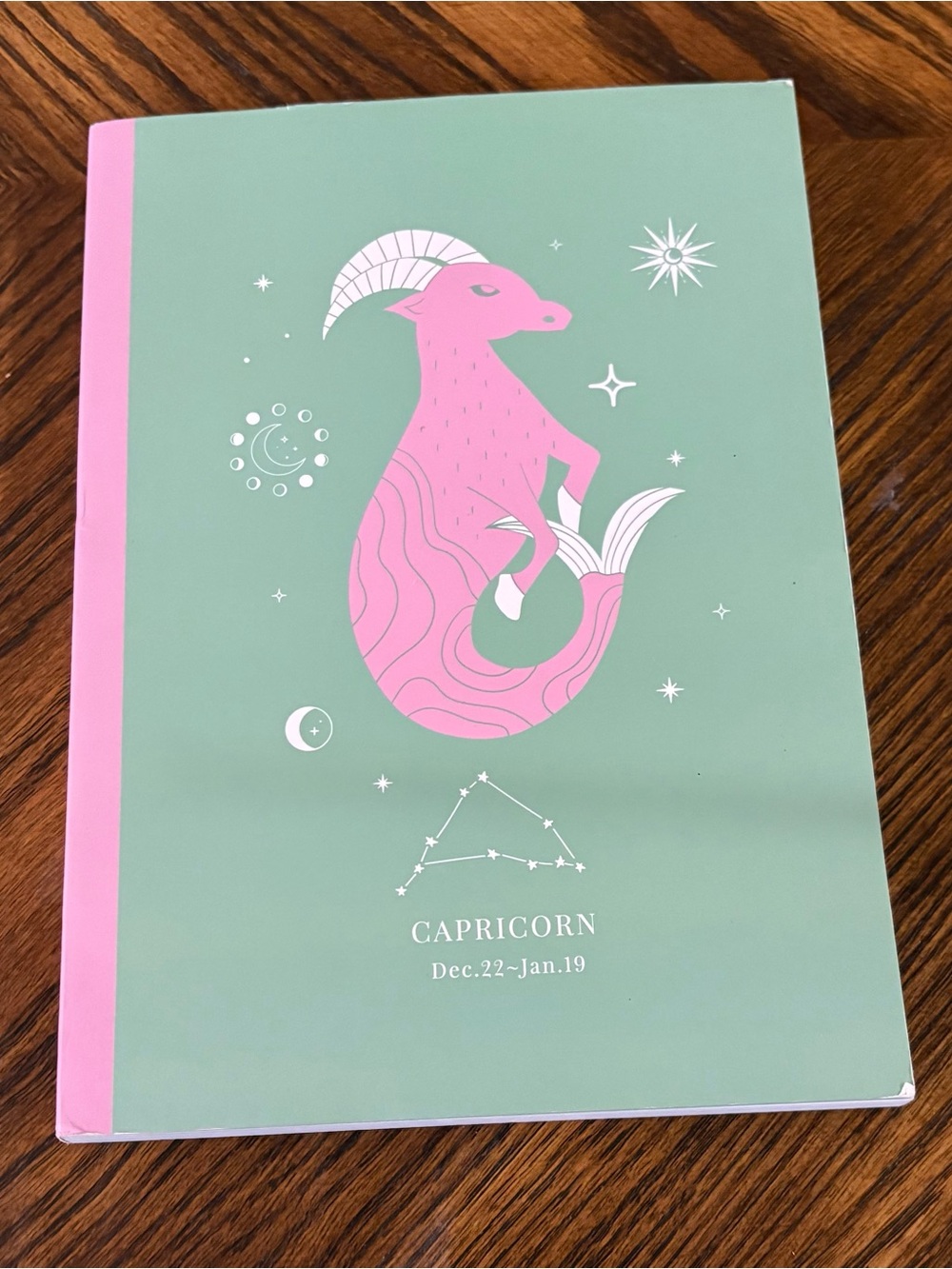 Capricorn Pink & Mint Journal Notebook - NEW